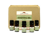 Green Cleaning Essential Oil Kit