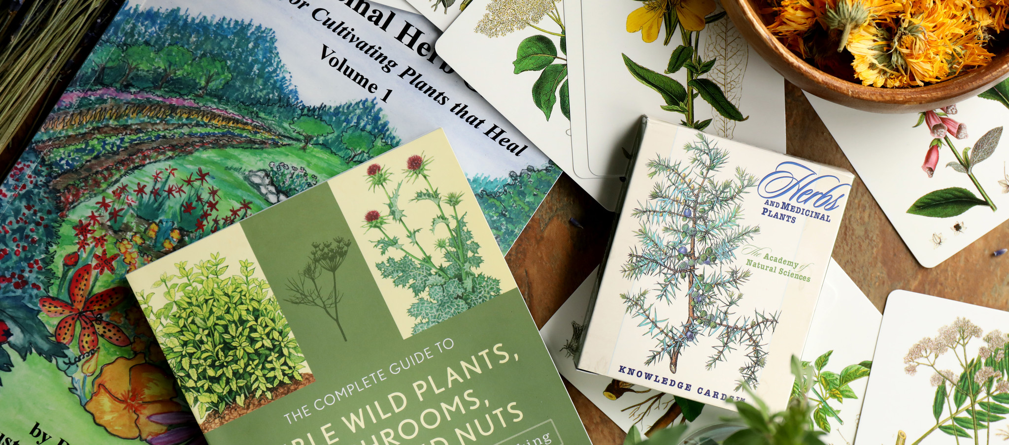 Plant Identification & Gardening Books