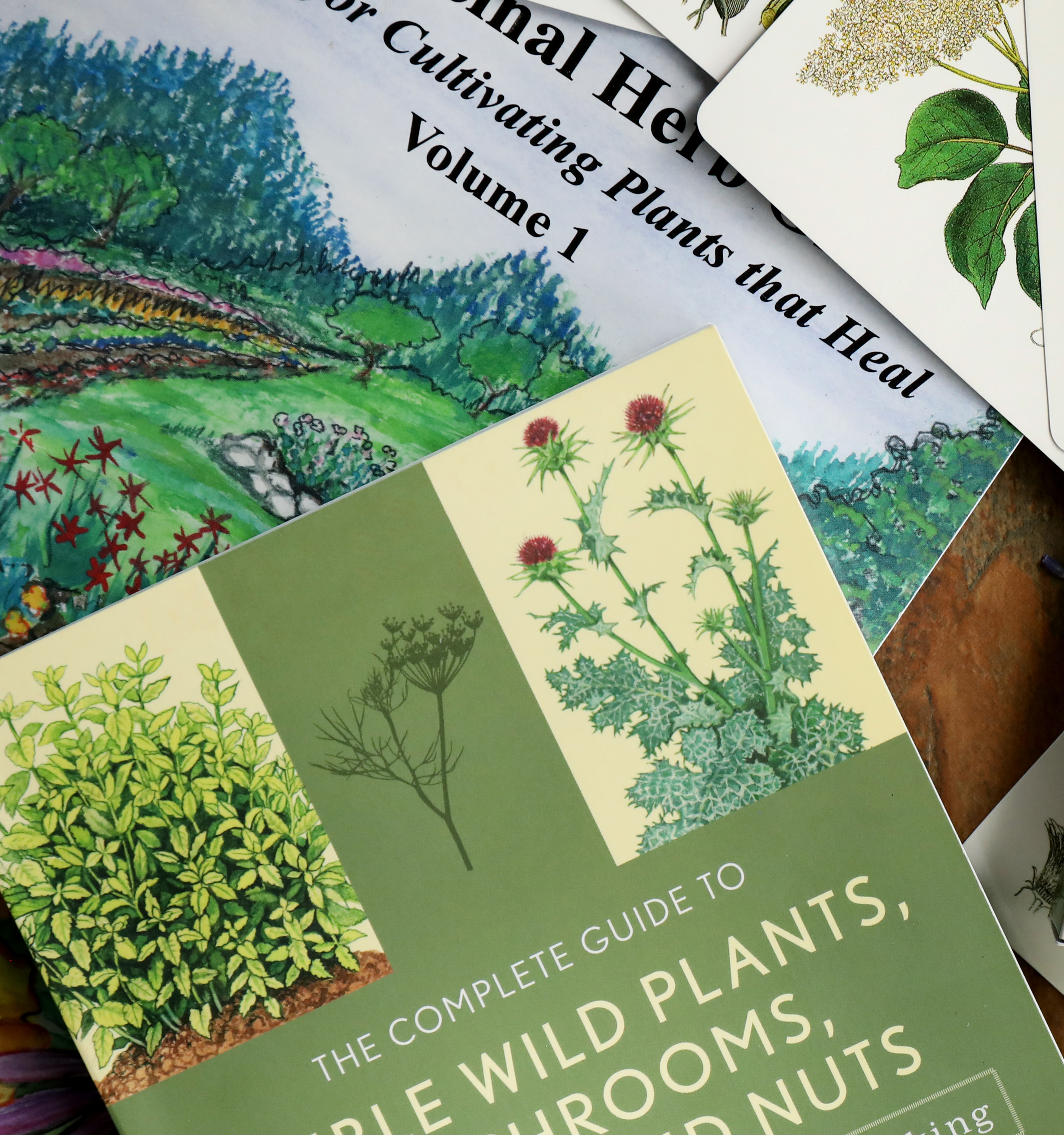 Plant Guides & Gardening Books