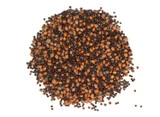 Organic Spicy Sprouting Seed Blend